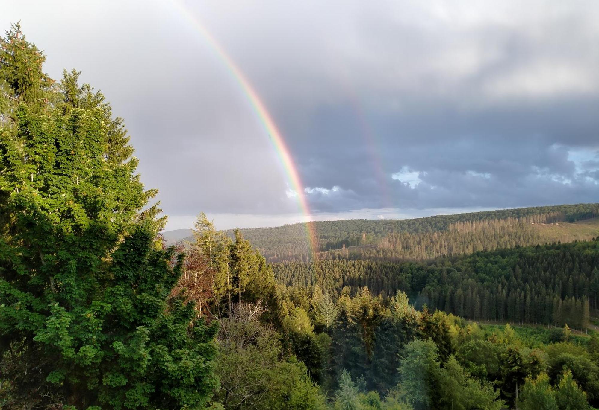 Landhotel Fernsicht Winterberg Kültér fotó