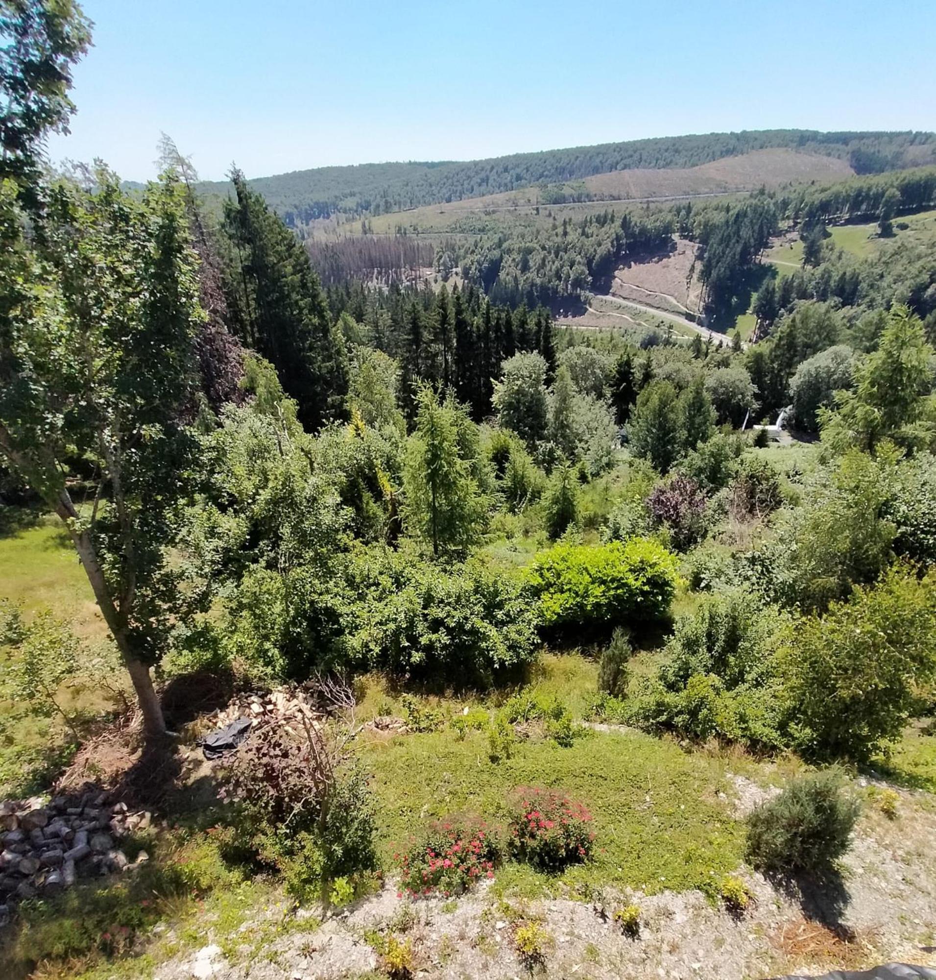 Landhotel Fernsicht Winterberg Kültér fotó