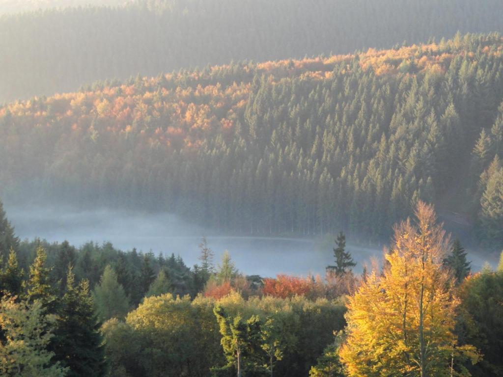 Landhotel Fernsicht Winterberg Szoba fotó